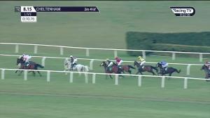 Video preview image for Cheltenham 20:15 - 100% RacingTV Profits Back To Racing Open Hunters' Chase (5)