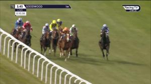 Video preview image for Goodwood 15:45 - Follow @mansionbet Maiden Stakes (4)