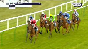 Video preview image for Salisbury 15:45 - Ajn Steelstock 'Your Perfect Partner' Fillies' Handicap (3)