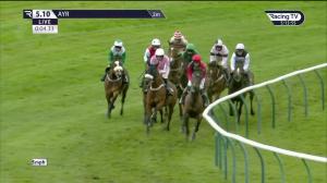 Video preview image for Ayr 17:10 - 100% RacingTV Profits Back To Racing Open National Hunt Flat (5) (Div 2)