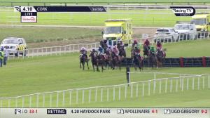 Video preview image for Cork 16:10 - Mallow Handicap Hurdle (Div 1)