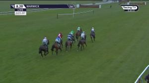 Video preview image for Warwick 20:20 - racingtv.com Open National Hunt Flat (5)