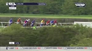 Video preview image for Ludlow 13:50 - South Shropshire Roofing Handicap Hurdle (5) (Div 1)