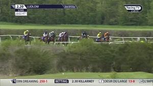 Video preview image for Ludlow 14:20 - South Shropshire Roofing Handicap Hurdle (5) (Div 2)