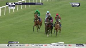 Video preview image for Ludlow 14:50 - Premiershelters Novices' Handicap Chase (3)