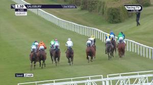 Video preview image for Salisbury 13:50 - Ajn Steelstock 'Henstridge Somerset' Novice Stakes (5)