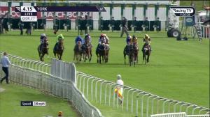 Video preview image for York 16:15 - Constant Security ebfstallions.com Maiden Stakes (2)