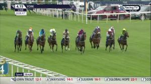 Video preview image for York 16:15 - Yorkshire Equine Practice Handicap (3)