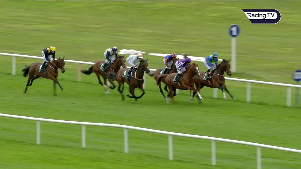 Sir Lucan Chins Stablemate Wordsworth In Yeats Stakes At Navan