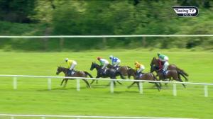 Video preview image for Wexford 15:55 - Think Print and Design Wexford Novice Chase 