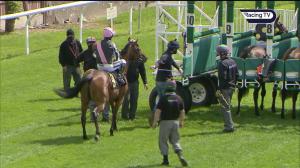 Video preview image for Carlisle 13:00 - British Stallion Studs EBF Novice Stakes (4)