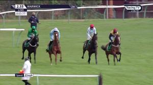 Video preview image for Warwick 14:55 - Feldon Dunsmore Carnival Handicap Hurdle (2)