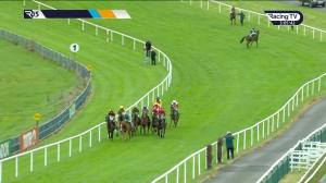 Video preview image for Downpatrick 15:05 - Adare Manor Opportunity Handicap Hurdle (Div 1)