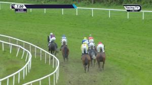 Video preview image for Wexford 19:00 - Jim Ryan Racecourse Services Handicap Hurdle (Div 1)