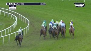 Video preview image for Wexford 19:30 - Jim Ryan Racecourse Services Handicap Hurdle (Div 2)