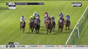 Video preview image for Haydock Park 13:55 - Casumo Horse Racing and Sports Betting Handicap (3)