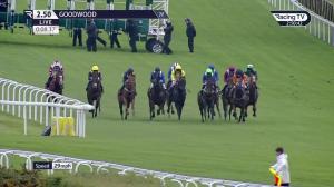 Video preview image for Goodwood 14:50 - Download The Mansionbet App Handicap (2)