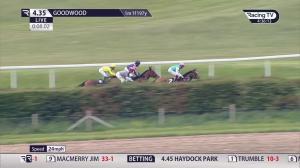 Video preview image for Goodwood 16:35 - Mansionbet Proud To Sponsor British Racing EBF Fillies' Novice Stakes (4)