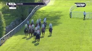 Video preview image for Limerick 15:00 - Mchale Tiger Roll Beginners Chase 