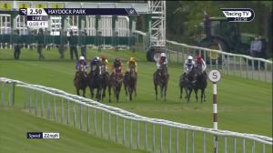 Video preview image for Haydock Park 14:50 - British Stallion Studs EBF Maiden Stakes (4)