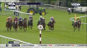 Video preview image for Haydock Park 14:20 - Betway Achilles Stakes (Listed) (1)