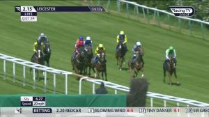 Video preview image for Fairyhouse 13:55 - Graham The Plumbers' Merchant Fillies' Handicap (5)