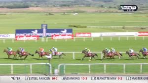 Video preview image for Punchestown 16:25 - Swordlestown Beginners Chase