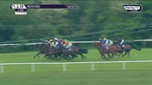 Video preview image for Wexford 14:10 - visitwexford.ie Maiden Hurdle
