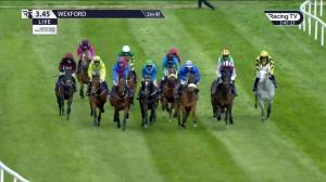Video preview image for Wexford 15:45 - Support The Irish Injured Jockeys Fund Handicap Chase (Div 1)
