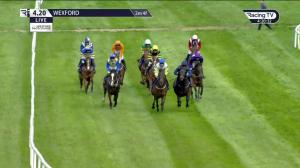 Video preview image for Wexford 16:20 - Support The Irish Injured Jockeys Fund Handicap Chase (Div 2)