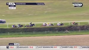 Video preview image for Goodwood 17:25 - Terracotta Palace Cup Amateur Jockeys' Handicap (5)