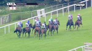 Video preview image for Goodwood 19:30 - L'Ormarins Queens Plate Handicap (5)