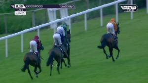 Video preview image for Goodwood 20:30 - Charlton Hunt Handicap (4)