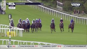 Video preview image for Goodwood 13:45 - Sussex Roof Garden Handicap (3)