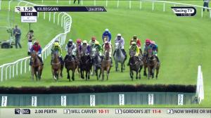 Video preview image for Kilbeggan 13:50 - Adare Manor Opportunity Maiden Hurdle (Div 2)