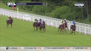 Video preview image for Goodwood 16:05 - Jackson-Stops Goodwood Handicap (4)