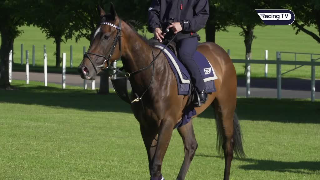 Royal Ascot Boughey gives a guide to all his runners