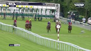 Video preview image for Haydock Park 19:00 - Broad Oak Novice Stakes (4)