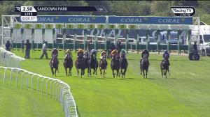 Video preview image for Sandown Park 14:50 - Play Coral "Racing-super-series" For Free Handicap (2)