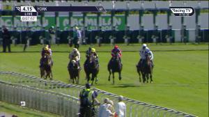 Video preview image for York 16:15 - Reg Griffin Appreciation ebfstallions.com Maiden Stakes (3)