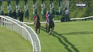 Video preview image for Leicester 19:15 - nucleushr.com Claiming Stakes (5)
