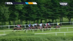 Video preview image for Gowran Park 15:30 - Thomastown Maiden (Div 1)
