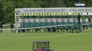 Video preview image for Ayr 17:15 - Join Racing TV Now Maiden Stakes (5)