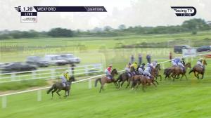 Video preview image for Wexford 13:20 - Loch Garman Mares Opportunity Maiden Hurdle (Div 1)