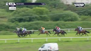 Video preview image for Wexford 15:00 - Boylesports Novice Hurdle