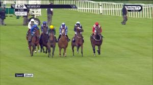 Video preview image for Newbury 18:00 - Hot To Trot Racing EBF Fillies' Novice Stakes (4)