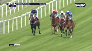 Video preview image for Sandown Park 14:55 - Coral Marathon (Esher) (Listed) (1)
