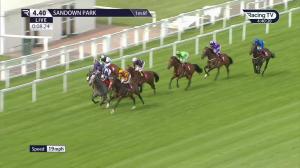 Video preview image for Sandown Park 16:40 - Davies Group Handicap (4)