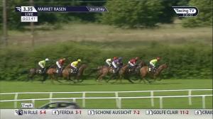 Video preview image for Market Rasen 15:35 - Rase Vets Handicap Chase (4)