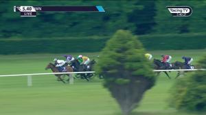 Video preview image for Leopardstown 17:40 - Plusvital Handicap